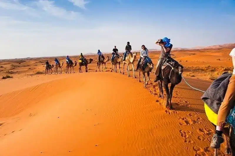 A group of tourists riding camels across the sandy desert landscape, showcasing a Morocco tour experience. 