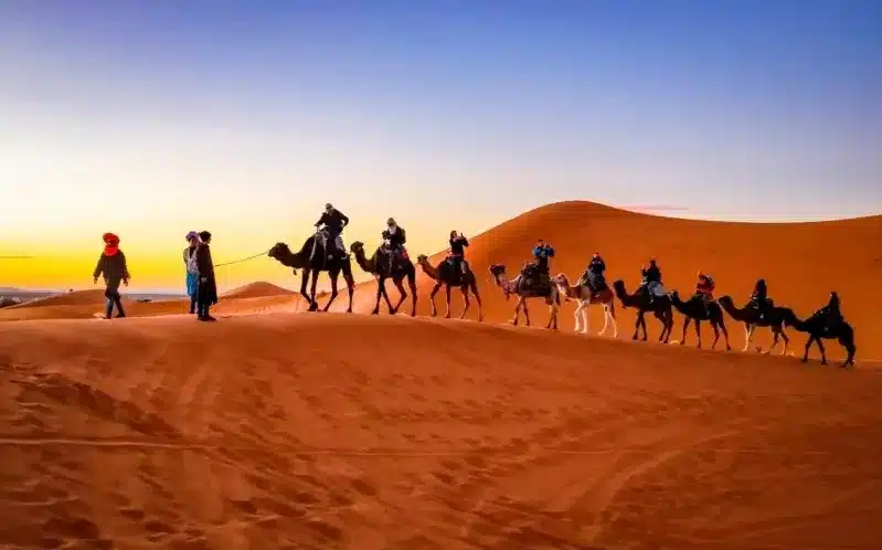 Tourists on camels journeying through the vast desert, showcasing a popular activity in Morocco tour packages.