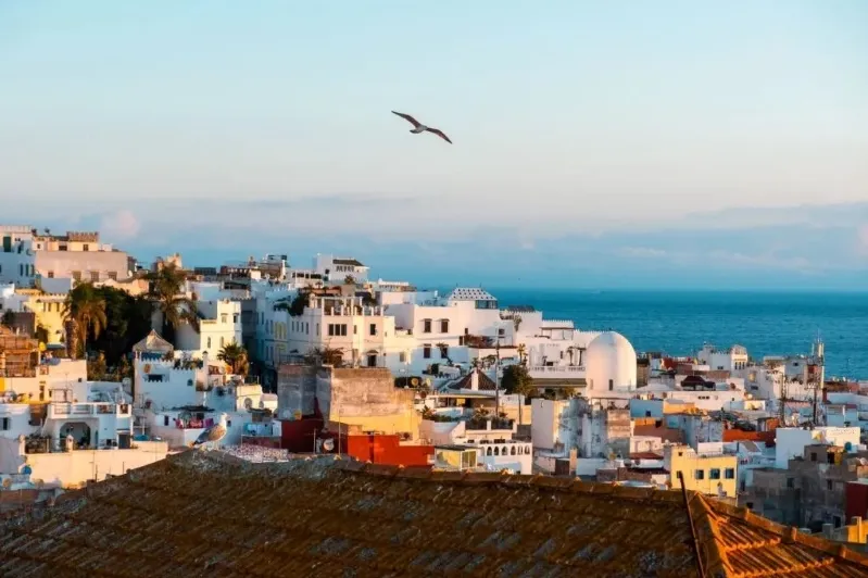 A bird soars above the rooftops of a Morocco tour packages, highlighting the charm of local architecture.