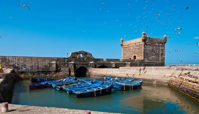 Fishing boats docked in the harbor of Essaouira, showcasing the charm of Morocco's old city and its vibrant maritime culture.