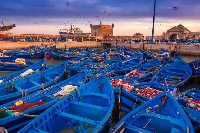 Blue fishing boats in Essaouira harbor at sunset, showcasing the vibrant colors of the sky and water. 