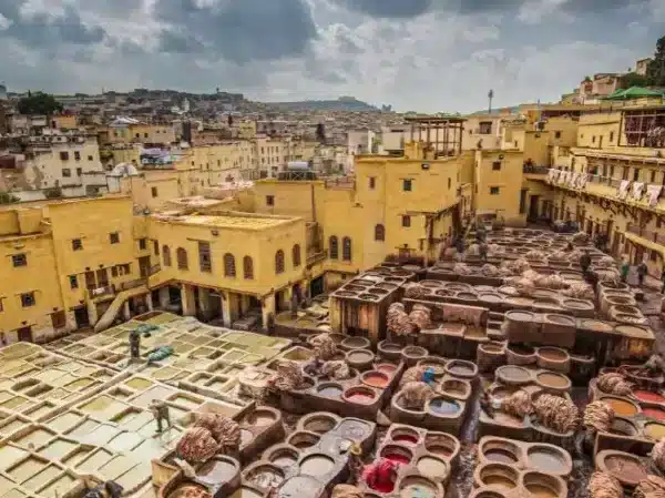 Your Ultimate Guide to Choosing the Best Fez Travel Agency for an Unforgettable Trip