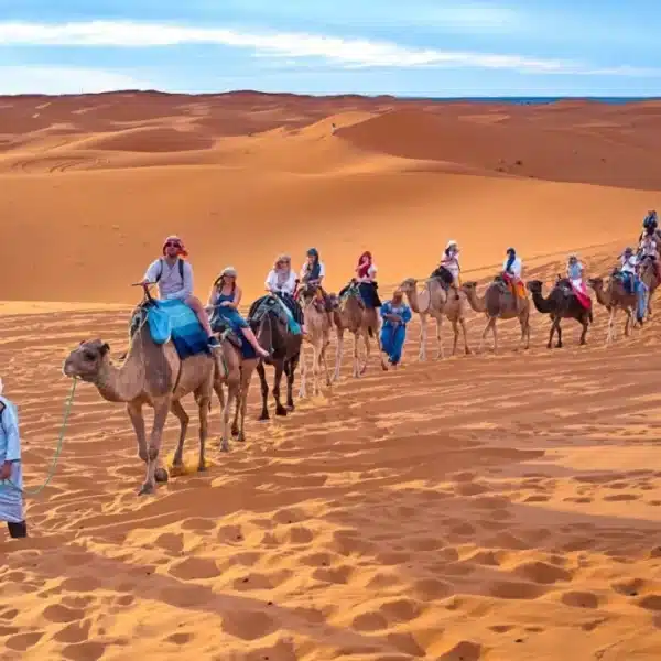 Your Ultimate Guide to Choosing the Best Morocco Sahara Travel Agency for a Desert Adventure