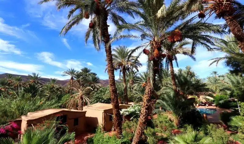 A panoramic view of the desert from a house roof, with the Moroccan flag waving in the foreground.
