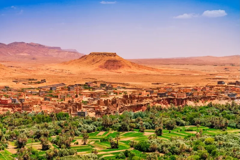 Expansive view of the Sahara Desert, showcasing golden sand dunes under a clear blue sky in Morocco .