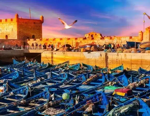 Beyond the Red City: The Best Things to Do in Essaouira with Morocco Desert Trips