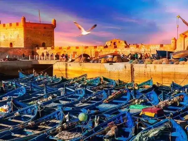 Beyond the Red City: The Best Things to Do in Essaouira with Morocco Desert Trips