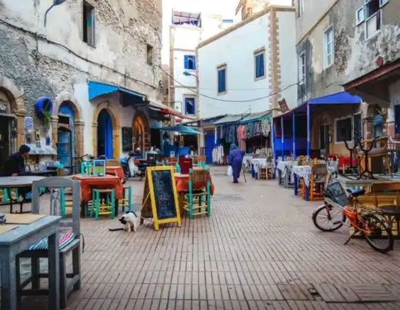Coastal Whispers & Ocean Dreams: The Top Things to Do in Essaouira with Morocco Desert Trips