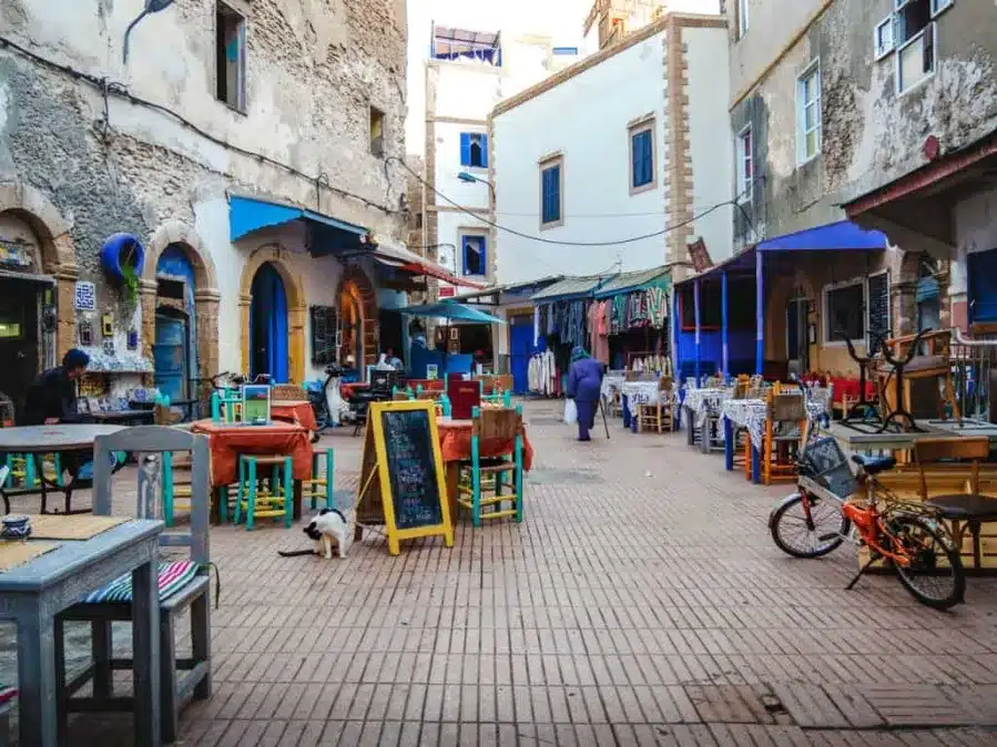 Coastal Whispers & Ocean Dreams: The Top Things to Do in Essaouira with Morocco Desert Trips