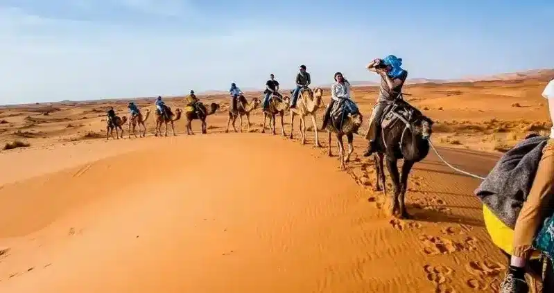 A group of travelers riding camels through the sandy desert, showcasing a Morocco travel company adventure.
