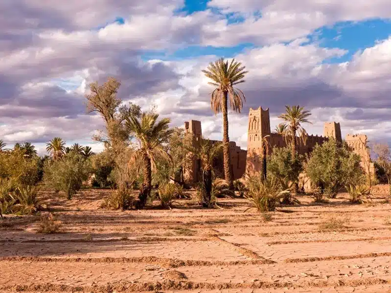 Ancient ruins in a desert landscape, surrounded by palm trees, showcasing Morocco's rich history and natural beauty.