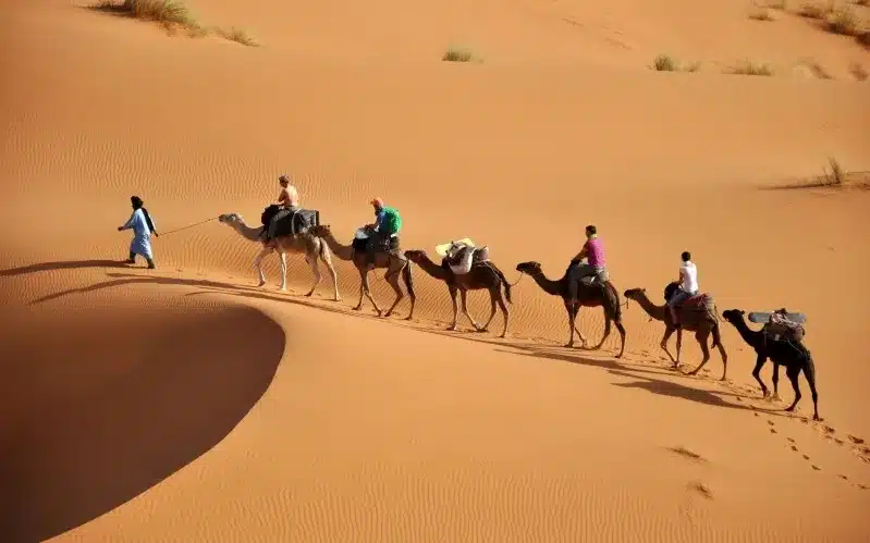 A group of travelers riding camels across the sandy desert, showcasing a Morocco travel company's adventure experience.
