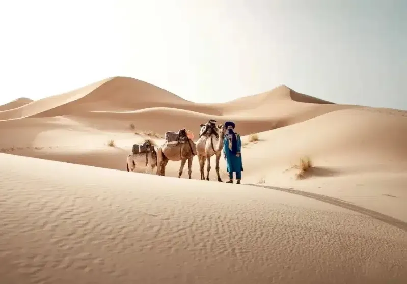 A man stands beside two camels in a vast desert landscape, representing Morocco custom tours.