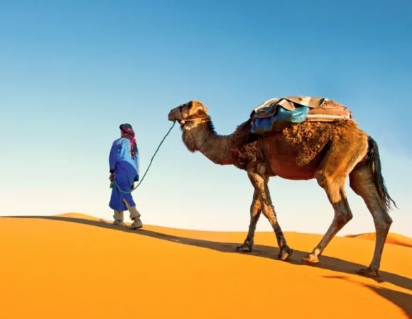The Ultimate Guide to a Guided Tour Morocco: Your Path to an Authentic Adventure