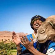 A man in a blue turban holds a camel, showcasing a scene from guided trips in Morocco.