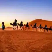 A group of tourists riding camels across the sandy desert during a private tour in Morocco.