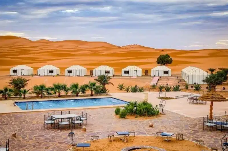 The inviting pool at a Best Luxury Morocco Tours, framed by lush greenery and the vast desert beyond.