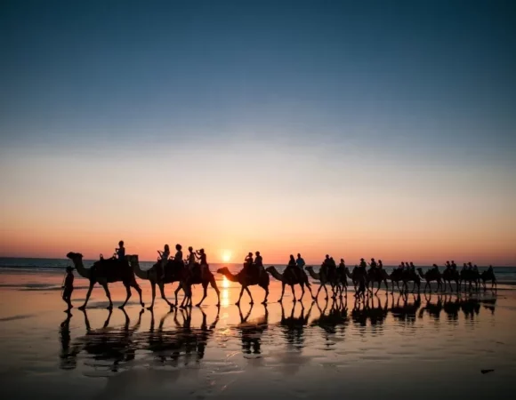 Sunset Safari: Experience a Gentle Camel Ride near Agadir