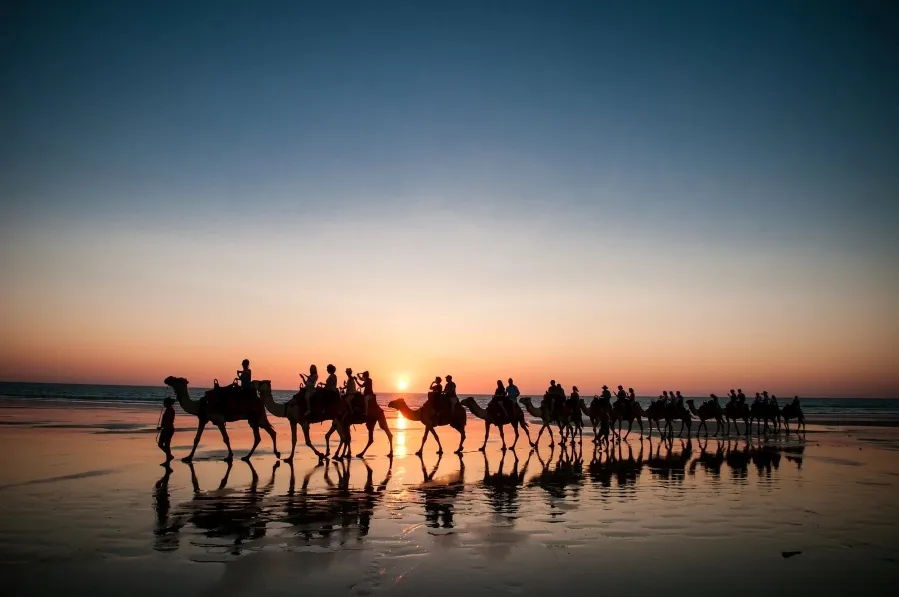 Sunset Safari: Experience a Gentle Camel Ride near Agadir