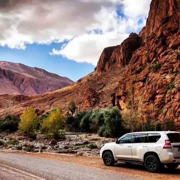 Why a Morocco Private Guide Driver is Your Essential Key to the Kingdom