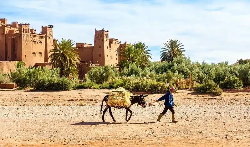 A man walks alongside a donkey in front of an old building, showcasing a scene from Morocco with a private guide driver.
