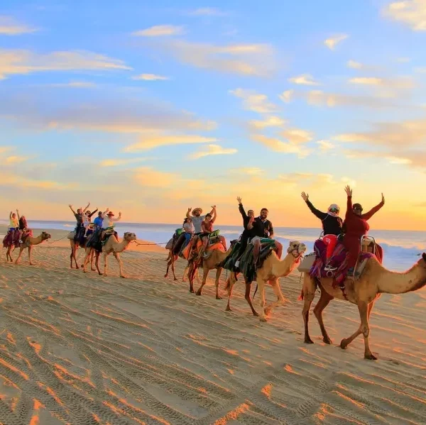 Sunset: The Beautiful Camel Ride around Agadir Experience