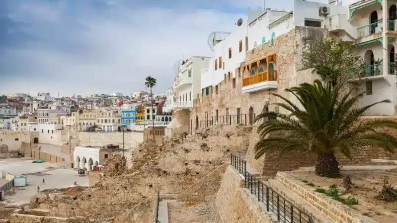 A panoramic view of the old city of Tunisia from a hilltop, showcasing its historic architecture and vibrant streets.
