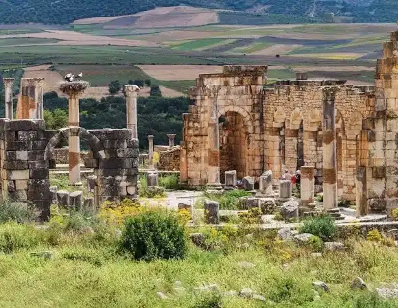 Ancient Wonders: Book Your Moulay Idriss & Volubilis Day Tour from Marrakech