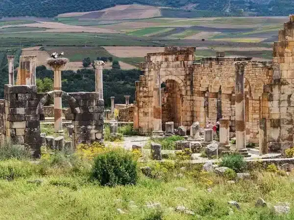 Ancient Wonders: Book Your Moulay Idriss & Volubilis Day Tour from Marrakech