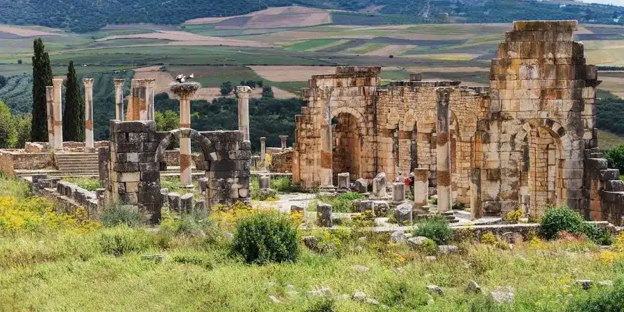 Ancient Wonders: Book Your Moulay Idriss & Volubilis Day Tour from Marrakech