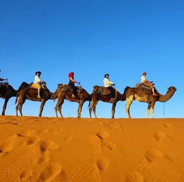 5 Days Fes to Marrakech via Desert & Dades Valley