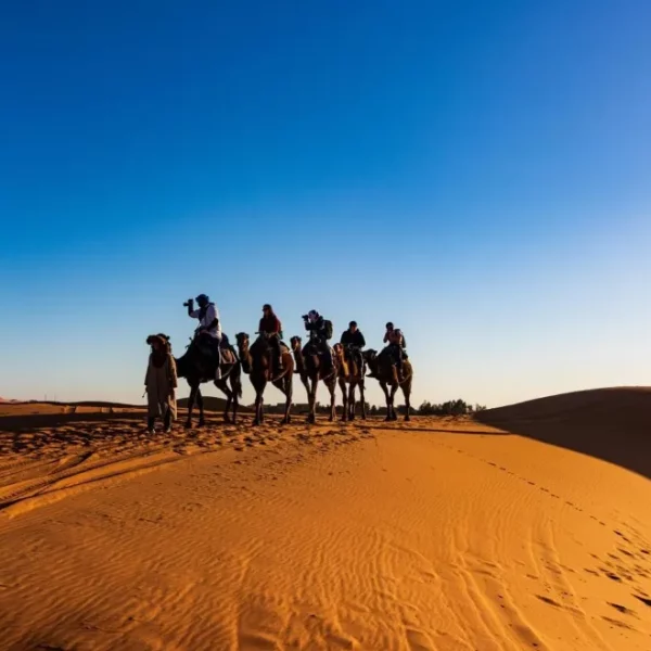 6 Days Casablanca to Desert & Marrakech Tour: A Grand Southern Loop