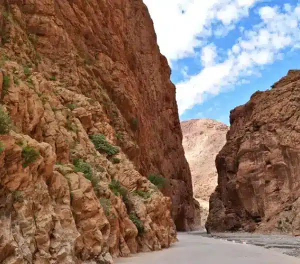 A winding road through a desert canyon, leading to Dades and Todra Gorge, surrounded by rocky cliffs and arid landscape.