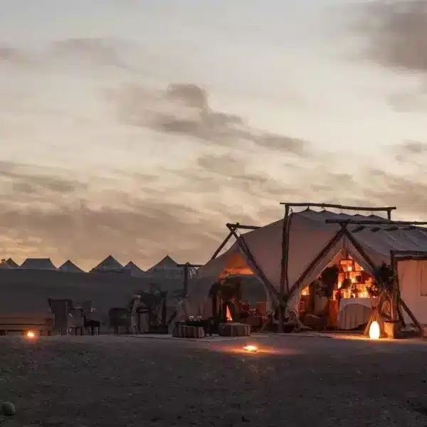 Cultural Evening: Dinner Show with Gnaoua Music