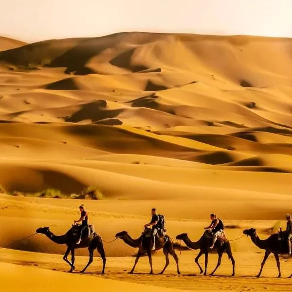 Four travelers ride camels across the sandy landscape during a 2-day tour from Fes to Merzouga Desert.