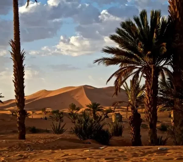 Expansive view of the Sahara Desert in Morocco, showcasing golden dunes during a 5-day journey from Fes to Marrakech.