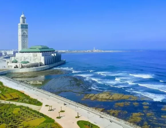 11 Days Grand Morocco Tour from Casablanca: Coast to Sahara to Imperial Cities