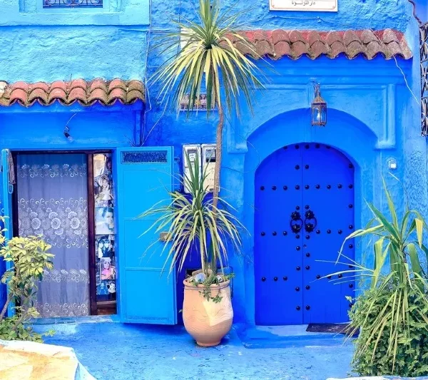 Scenic view of Chefchaouen, Morocco, showcasing its iconic blue buildings during a tour from Casablanca.