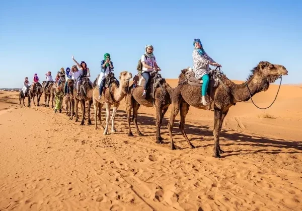A group of travelers riding camels through the sandy landscape of the desert during a Fes to Merzouga tour.