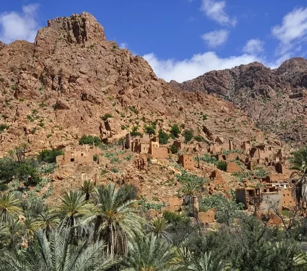 A desert landscape featuring palm trees and mountains, showcasing the beauty of Agadir's natural scenery.