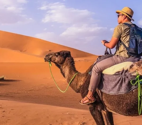 Man riding on two camels in the desert during a 2-day trip in Ouarzazate.