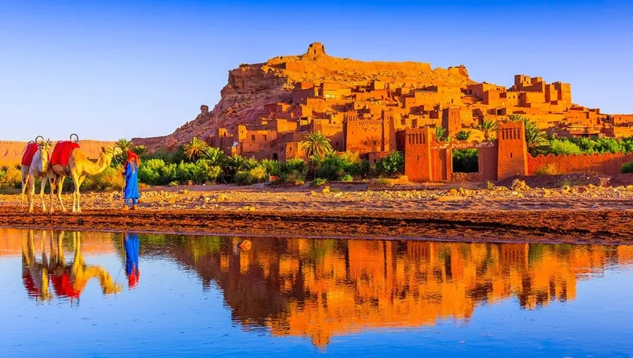 A camel stands in the desert with a castle in the background, symbolizing Morocco holidays.