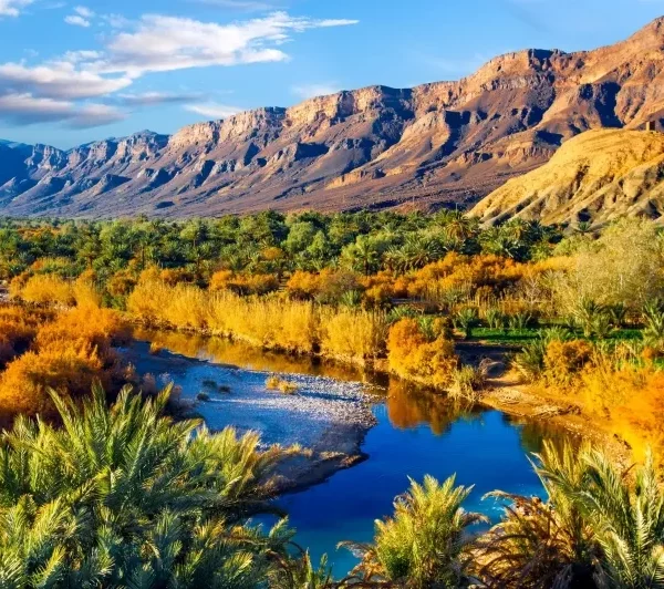 Ouarzazate – Skoura – Dades Valley – Todra Gorges