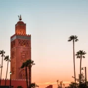 Sunset over a tall tower surrounded by palm trees, casting a warm glow on the scene.