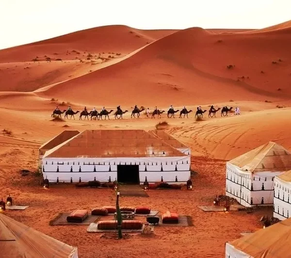 A group of tents in the desert with camels, showcasing a 4-day adventure in Agadir.