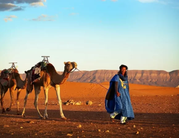 Ultimate Marrakech Sahara Desert Tour: The Definitive Guide