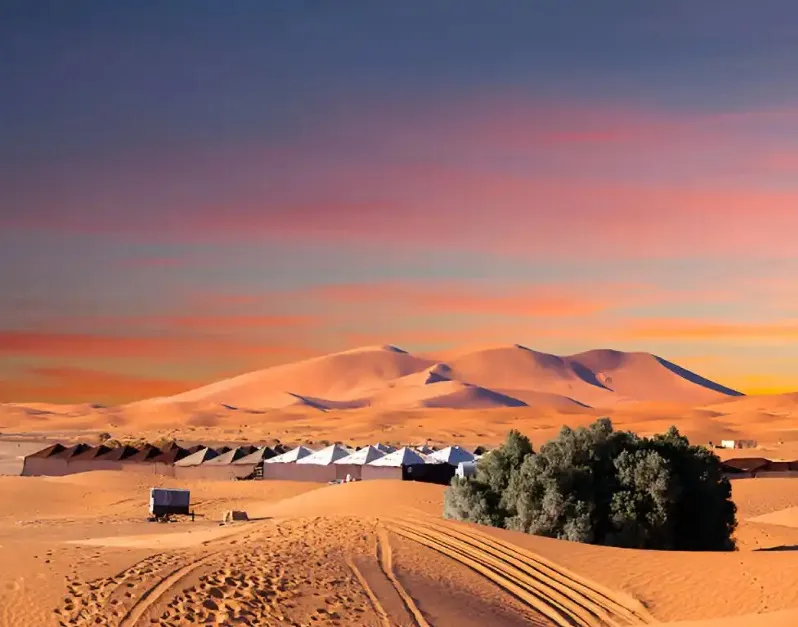 A desert scene featuring a tent beside a solitary tree, promoting Morocco Holidays 2026.