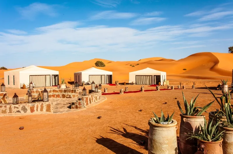 Tents with white fabric and red carpets sit on desert sands under a clear blue sky. Potted plants and lanterns add charm to the serene landscape.