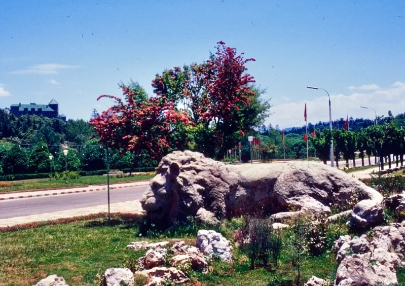 A lion statue stands prominently in a grassy area in Ifrane, Morocco, surrounded by lush greenery