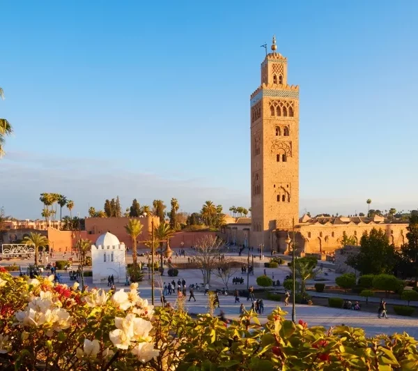 Things to Know Before Visiting Morocco on a guided tour of Marrakech